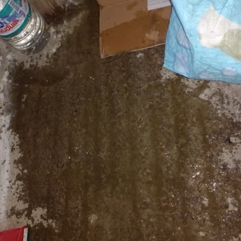 Türkiye Sigorta Sağanak Yağmurdan Dolayı Su Akması