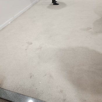 İBB - İstanbul Büyükşehir Belediyesi Mescitlerimiz Temizlensin Bakımı Yapılsın