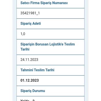 Borusan Lojistik Kargomu Bana Ulaştırmadı. Şikayetçiyim