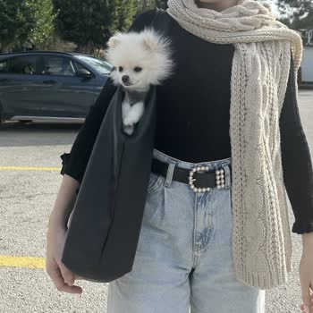 Metro Grossmarket 1 Kiloluk Süs Köpeğiyle İçeri Girmeme İzin Vermedi