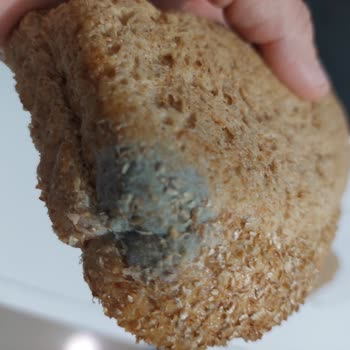 Getir Uygulaması Küflü Ekmek Satıyor