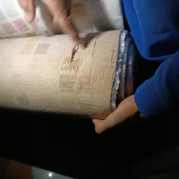 Şimşek Halı Yıkama (Iğdır) Ürünü Yırtıp Getirdi