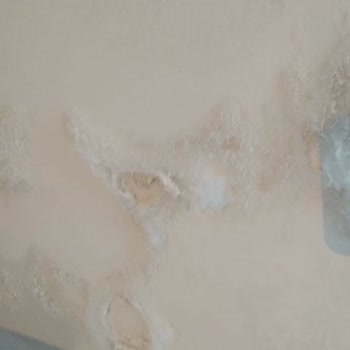 Yeni Teslim Edilmiş Emlak Konut Evlerinin Haline Bakın