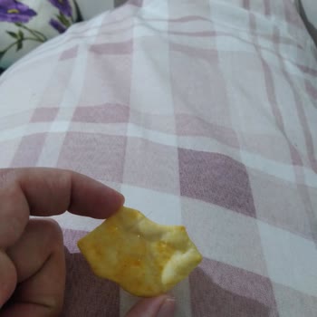 Çerezza Krakerin İçinden Çıkan Kıl