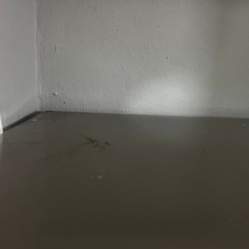 Saygın Temizlik Tadilat Sonrası Yapılan Ev Temizliğinden Memnun Kalmadım!