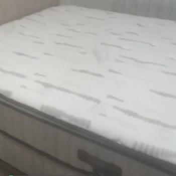 Bambi Yatak Göçme Sorunu