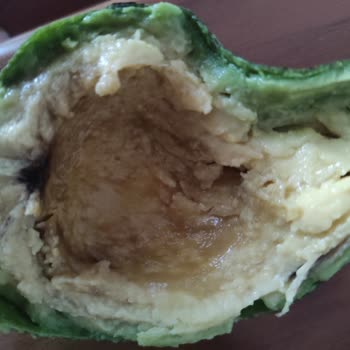 Avakadolu.com Ürünleri  Çürük