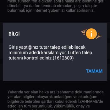 İş Bankası Halka Arıza Giriş Yapamamak