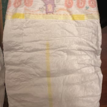 Prima’nın Hediyedeki Oyunu