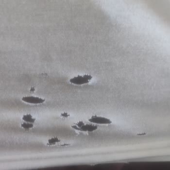 Vestel Çamaşır Makinesi Sorunum