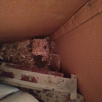 Sürat Kargo Kardelen Şubesi Ankara Kargodan Ürün Yerine Çöp Çıktı