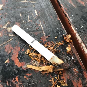 Philip Morris Sigaradan Odun Çıktı