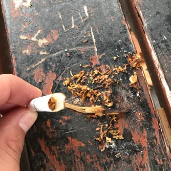 Philip Morris Sigaradan Odun Çıktı