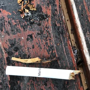 Philip Morris Sigaradan Odun Çıktı