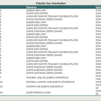 UPS Türkiye Ve Dağıtıcısının Sorumsuzluğu