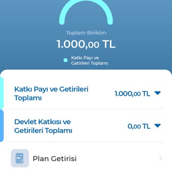 Anadolu Hayat Emeklilik Besten Erken Para Kesildi Ve Cayma Hakkımı Kullanmamı Engelliyorlar