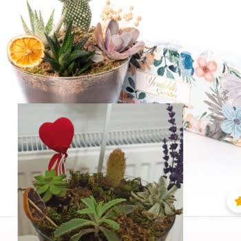 Sorumsuz Çiçek Sepeti