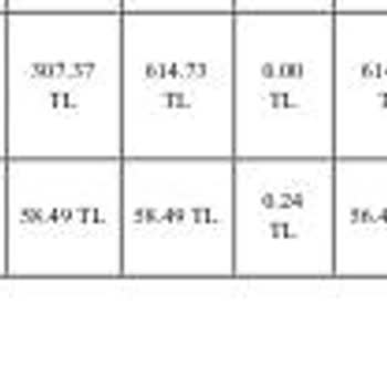 Enerjisa Başkent Elektrik Perakende Enerjisa Ödemeyi Görmediğini Beyan Ediyor