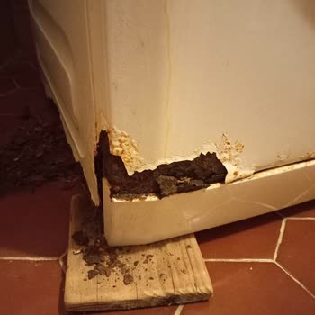 Arçelik Çamaşır Makinesi Çürümeye Başladı
