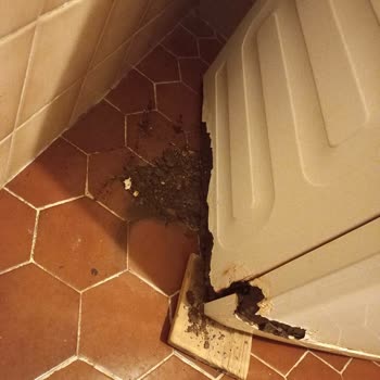Arçelik Çamaşır Makinesi Çürümeye Başladı
