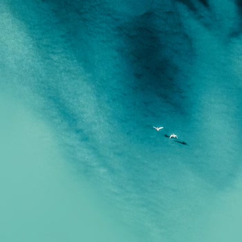 My Continuum Finansal Şirket