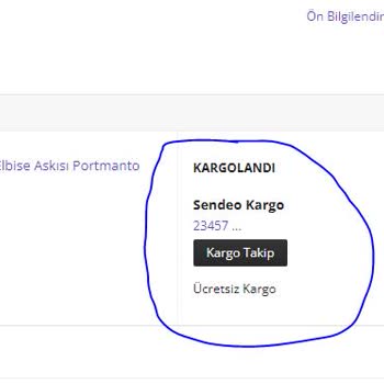Sendeo Gönderi Bulunamadı Nedir?