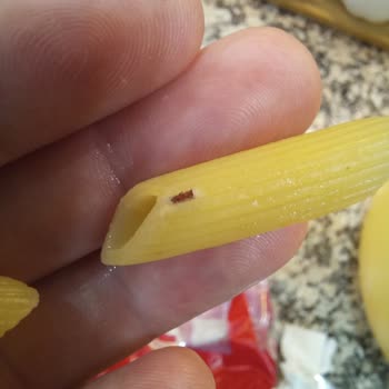 Filiz Makarna Paketli Makarnalarda Böcek Şikayeti