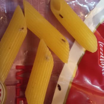 Filiz Makarna Paketli Makarnalarda Böcek Şikayeti