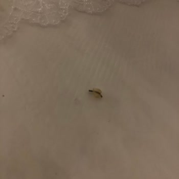 Eti Gıda Yulaftan Demir Parçası Çıkması