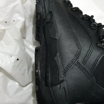 YDS Bot Tabanı Kendi Kendini İmha Etti?