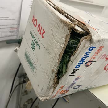 Pazarama, Buluttabul Ve Sürat Kargo Umursamazlığı