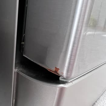 Bosch İnox Sgs4ekı60t Bulaşık Makinesinde Küflenme Sorunu