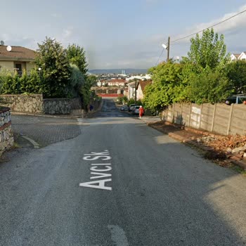 Serdivan Belediyesi İlgisizliği