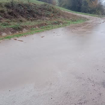 Kocaeli Büyükşehir Belediyesi Yol Etrafındaki V Kanalları Ve Ağaç Dalları