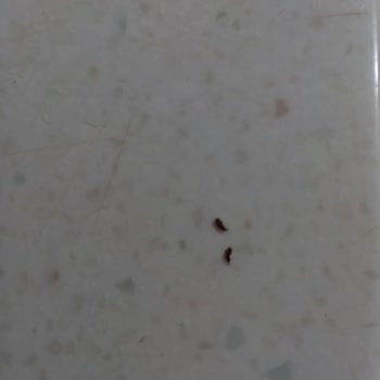 Bozuk Gıda Satan BİM Birleşik Market