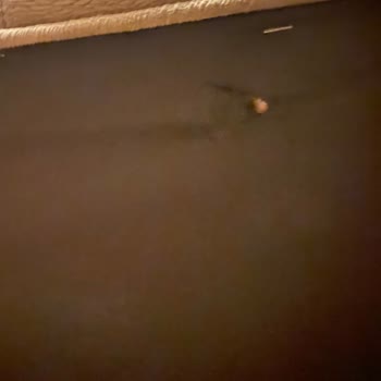 Enza Home Yırtık Astarlı Ürün Ve Geciken Kısmi Sipariş Şikayetidir