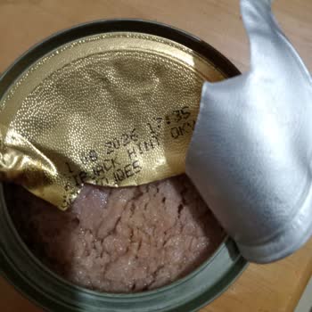 Dardanel Ton Balığında Beklenmedik Hayal Kırıklığı