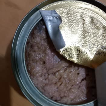 Dardanel Ton Balığında Beklenmedik Hayal Kırıklığı