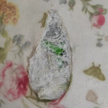 Fakir Ev Aletleri Ütü Arızası Ve Servis Sıkıntısı