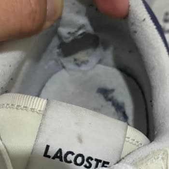 Lacoste L-spin Ayakkabı Astar Yırtılması