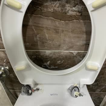 İsvea Marka Klozet Kapağı