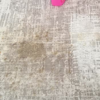 Gümüşsuyu Halı Gümüşsuyu Black Brown Halı Lekeler Asla Çıkmıyor