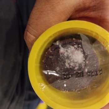 Fisher-Price Küflenmiş Oyun Hamurları