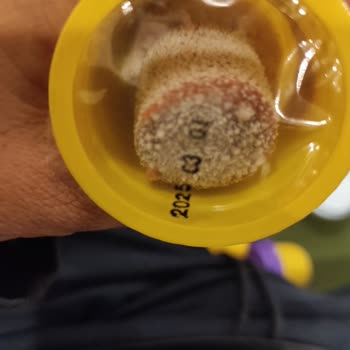 Fisher-Price Küflenmiş Oyun Hamurları