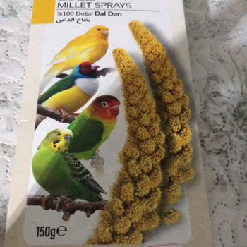 Ayhan Petshop Fahiş Fiyata Ürün Satışı -