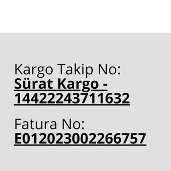 USPA Kargo Kayıp