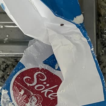 Migros Dan Aldığım Söke Un İçinden Böcek Çıktı