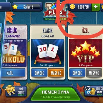 Okeyplus.com Çip Satın Alma Sorunu Ve Çözüm Talebi