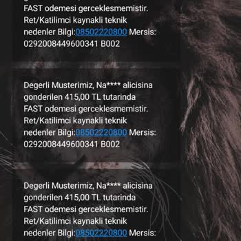 Nays Para Transfer Problemi