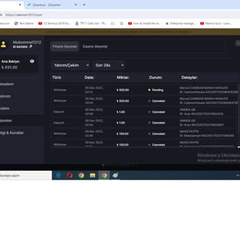 Casinom Yatırımımın Karşılığını Alamıyorum!